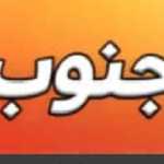 فست فود جنوب
