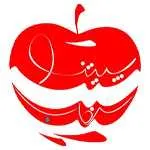 فست فود سیب (خانی آباد نو)