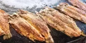 ماهی کباب تنوری رژیمی اقیانوس