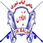 ماهی کباب تنوری رژیمی اقیانوس
