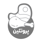 پروتئین مزه (برازنده)