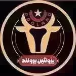 پروتئین پرولند