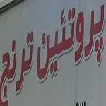 پروتئینی ترنج