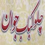 چلو کباب جوان